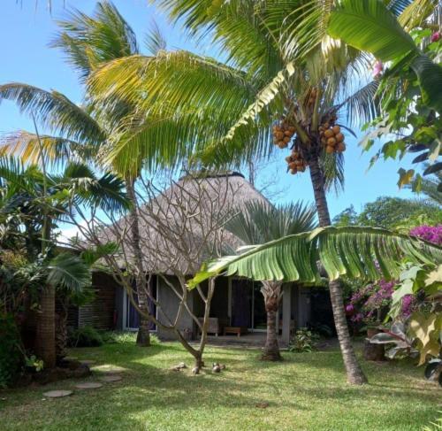Brahmanhut - Eco Hut Experience In Harmony With Nature, Wellbeing And Spirit Bain Boeuf Exteriör bild