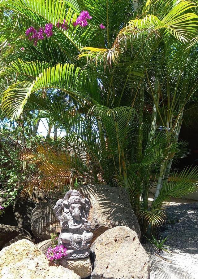 Brahmanhut - Eco Hut Experience In Harmony With Nature, Wellbeing And Spirit Bain Boeuf Exteriör bild